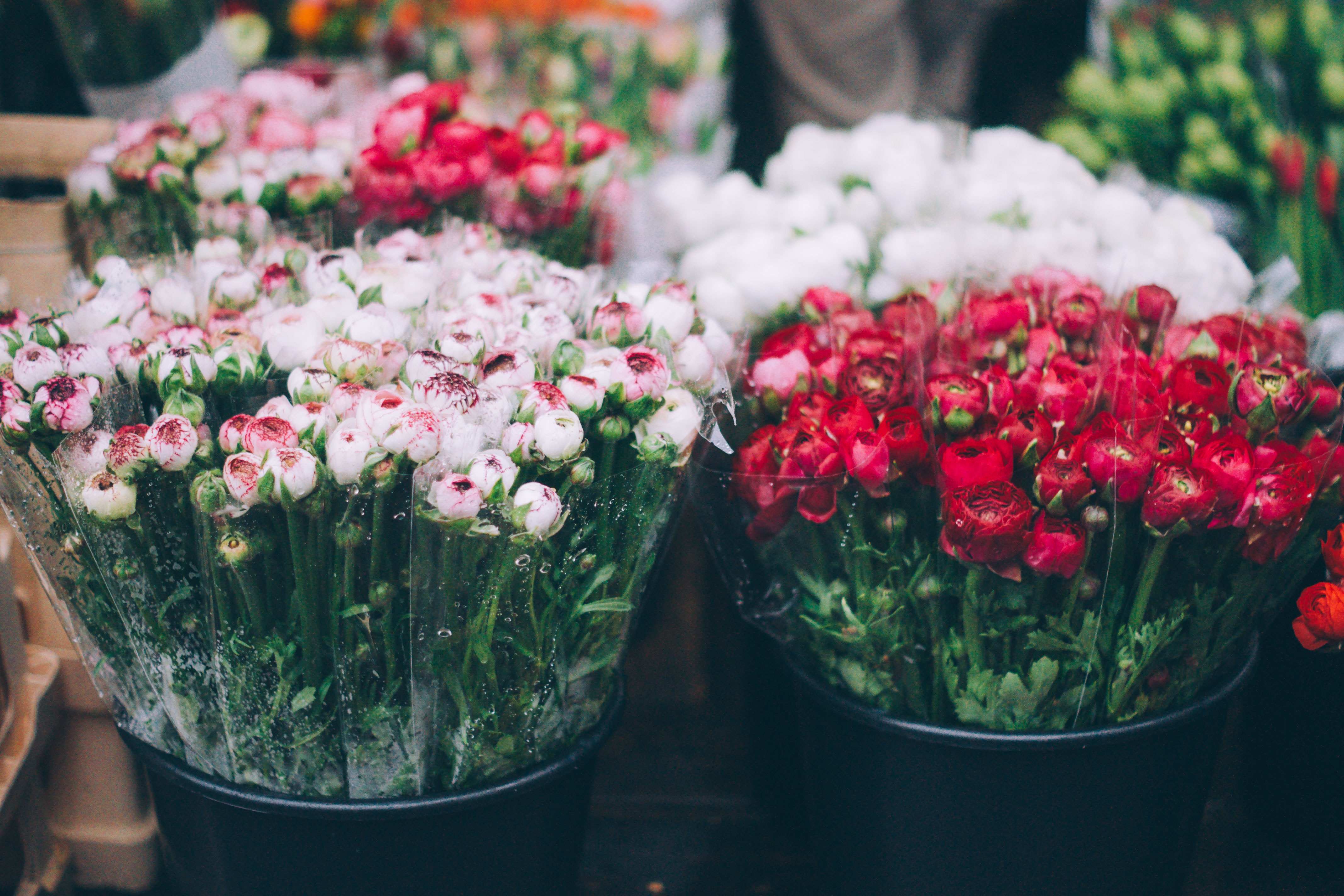 Как правильно выбрать цветы на 8 марта?